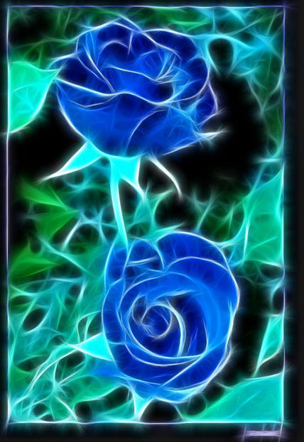 Rosas Azules