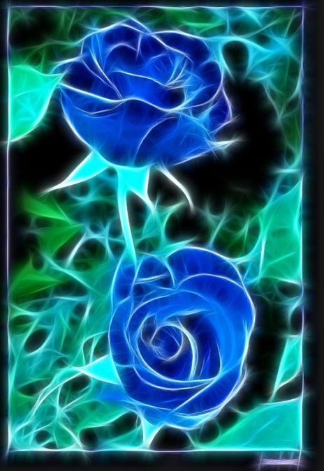 Rosas Azules