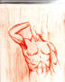 torso