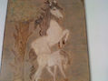 caballos