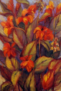 Cannas