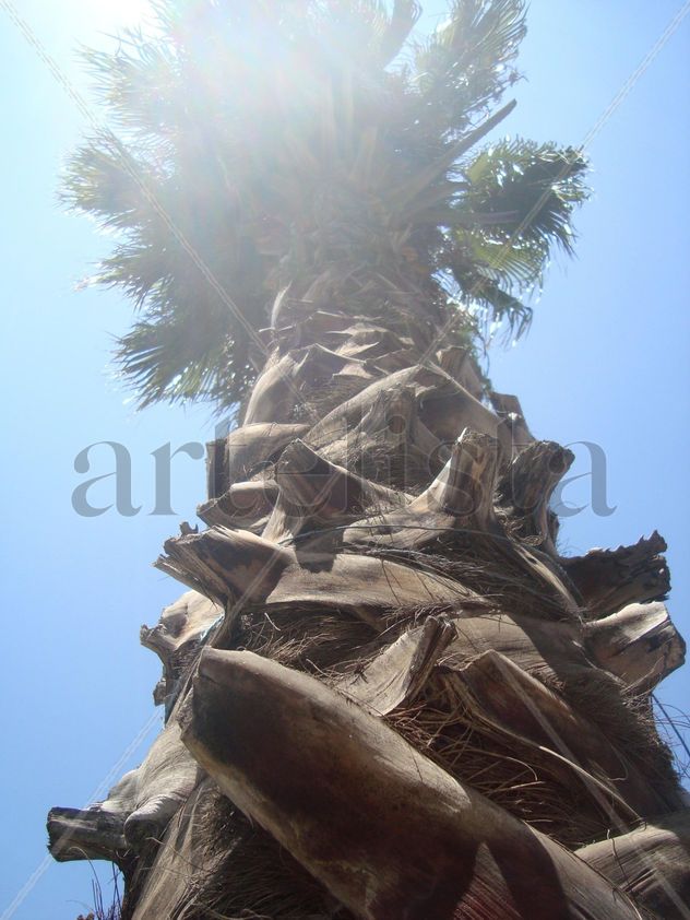Alturas