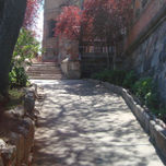 Fotografía thumbnail 2
