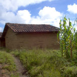 Arquitectura thumbnail 1