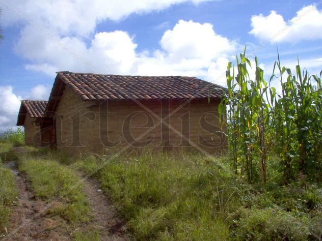Vivienda