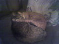 Durmiendo con mama