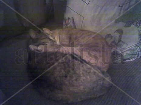 Durmiendo con mama