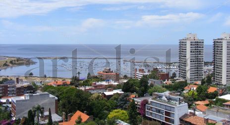 Puerto del buceo