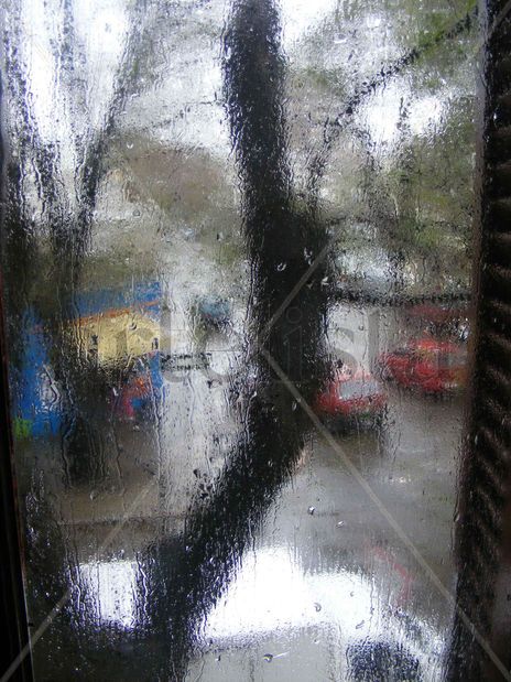 Un dia de lluvia...