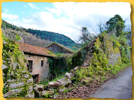 Abandono