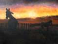 Caballos al atardecer