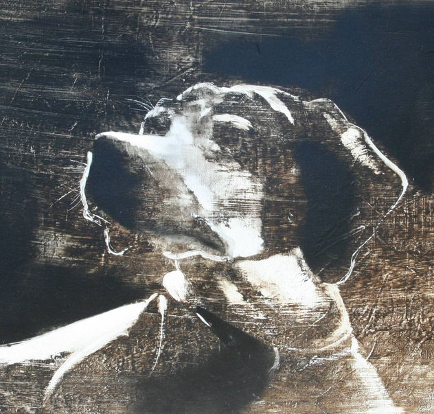 "DOG XI"
