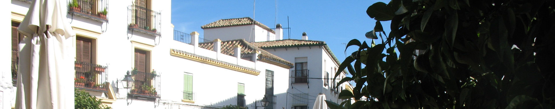 Imagen de portada