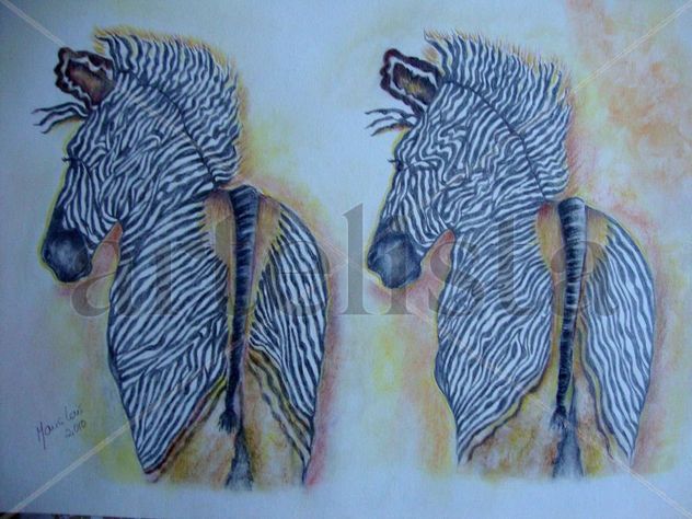 Zebras
