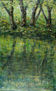Reflejos