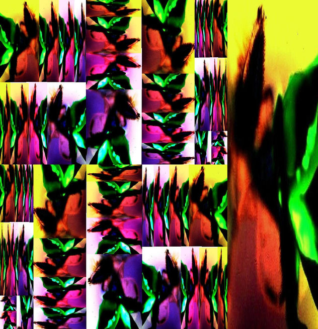 COLAGE FOTOGRÁFICO-21