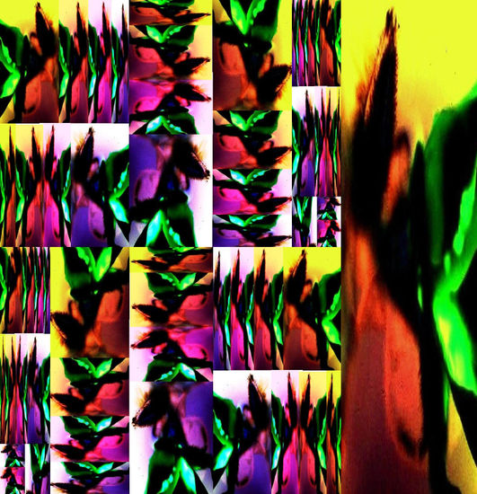 COLAGE FOTOGRÁFICO-21 Conceptual/Abstract Color (Manual)