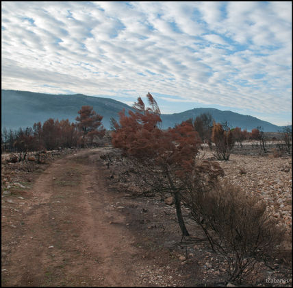 Incendi Bocairent