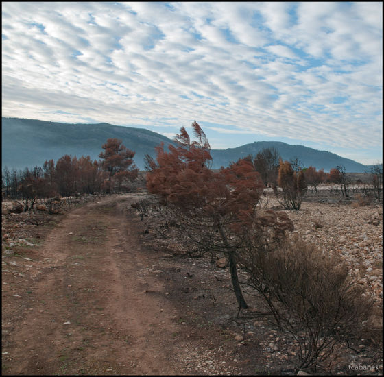 Incendi Bocairent 