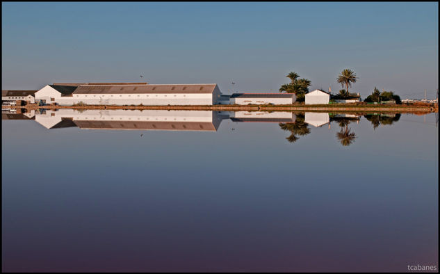 Reflejo 