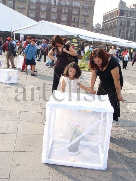 Memorias de libertad
