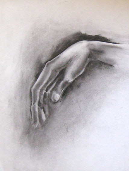 Estudio mano i