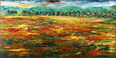 Campo de amapolas 