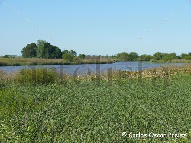ARROYO EN PRIMAVERA 1