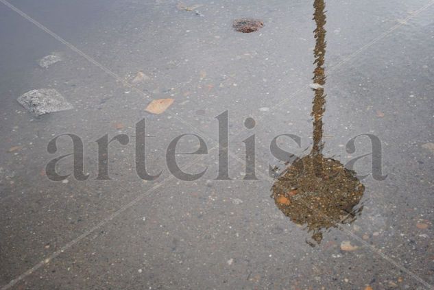Reflejos 