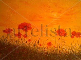 Entre amapolas