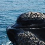PATAGONIA thumbnail 2