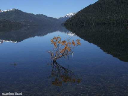 El Espejo-The MIrror