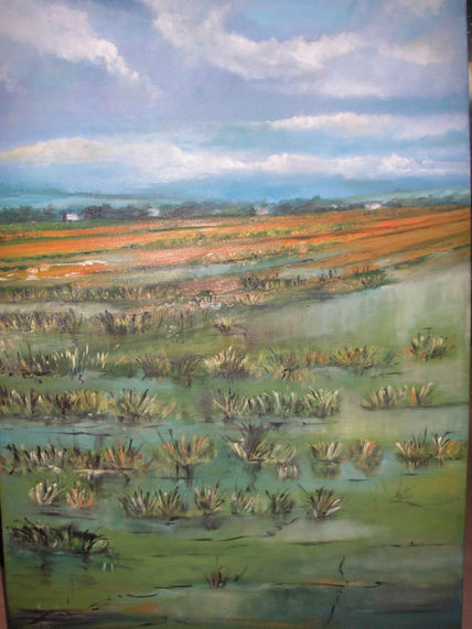 Delta del Ebro ,...