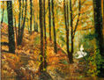 D24 Otoño en Galicia (2010)