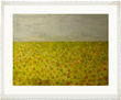 CAMPO GIRASOLES 3