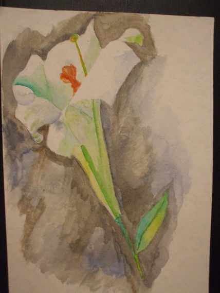 Flor
