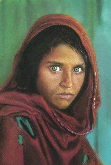 Sharbat gula Others