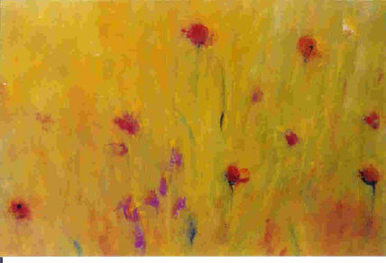 Amapolas