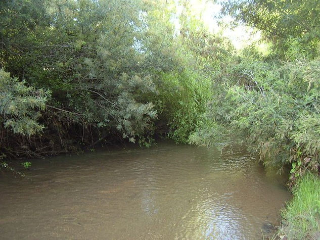 bahia fluvial 