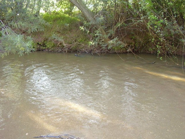 aguas oscuras para un corazóm limpio