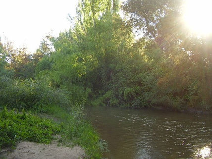 Bahia turbia