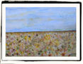 CAMPO PRIMAVERA