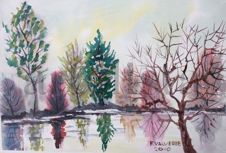 Reflejo