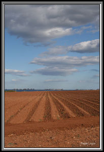 Caminos al mar