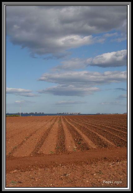 Caminos al mar