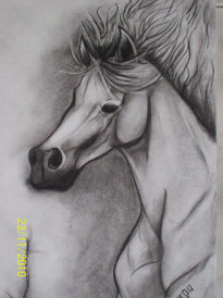 Caballo 5