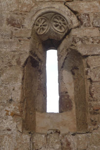 Animales en la ventana