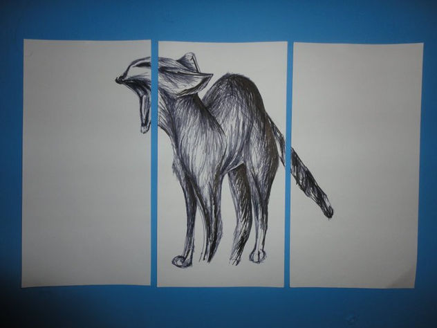 gato