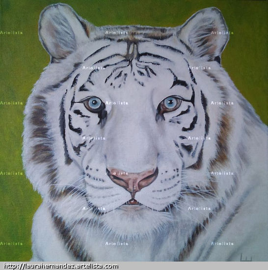 Tigre blanco Oil Canvas Animals