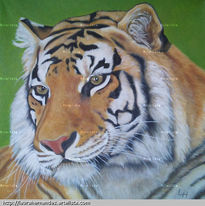 Tigre 3